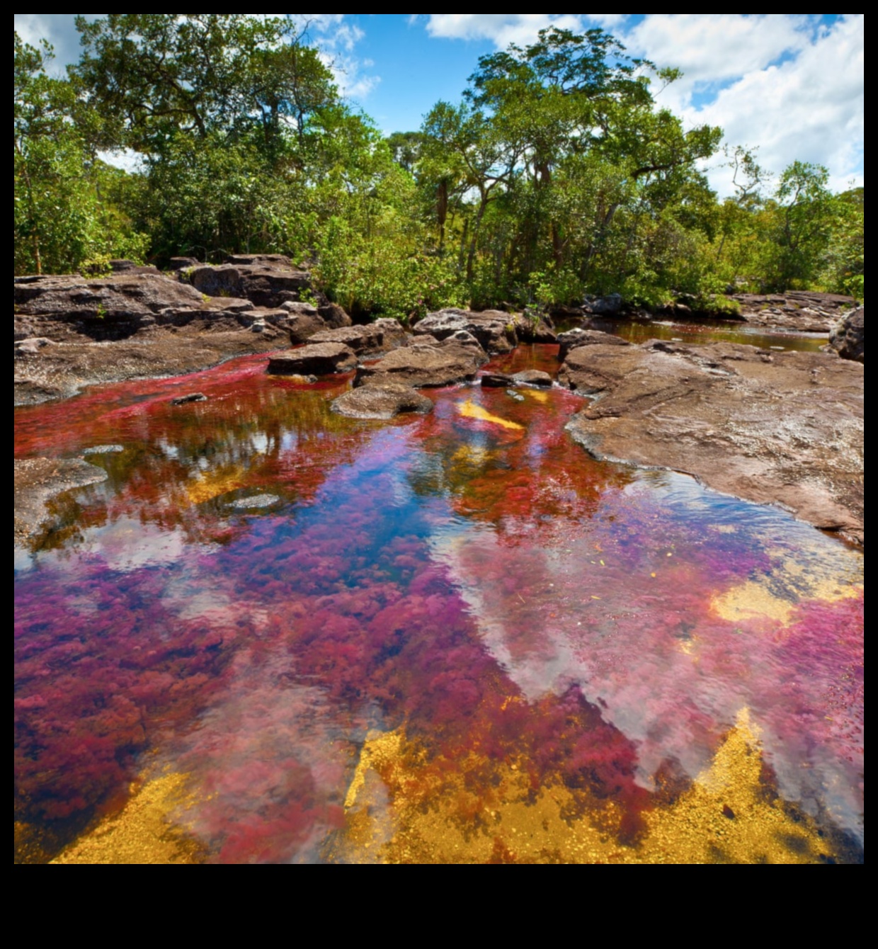 Liquid Rainbow A Tour of the Colors of the Juice Spectrum 3 Liquid Rainbow: Exploring a Spectrum of Colors in Fresh Juice Blends