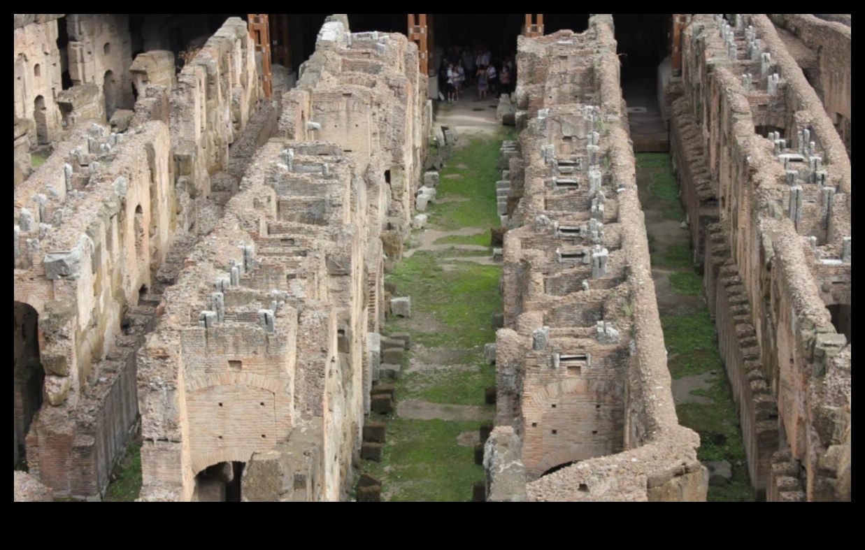 Ludus Magnus: Depicting the Great Gladiator Training School