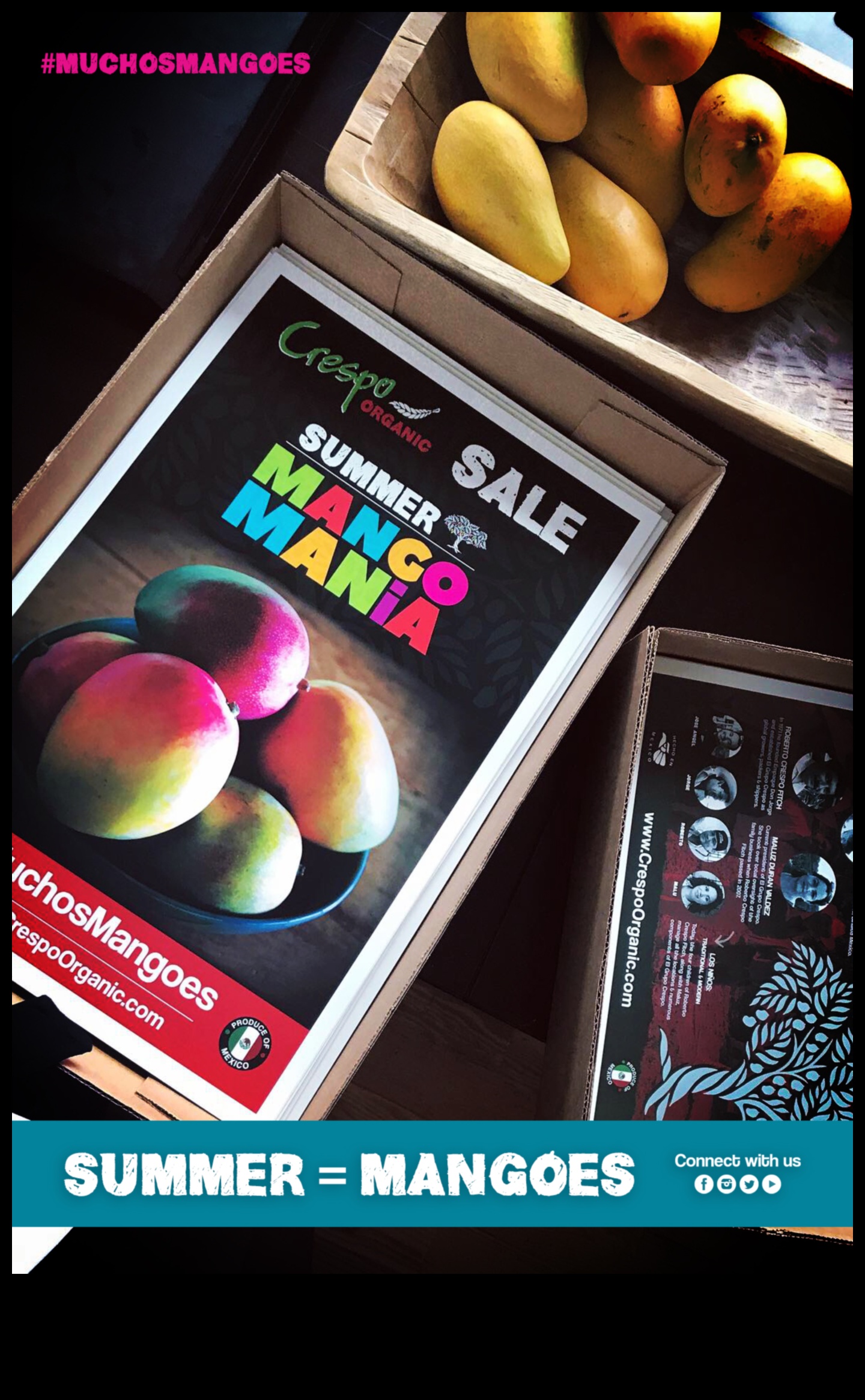 Mango Mania: Sweet and Savory Mexican Mango Creations