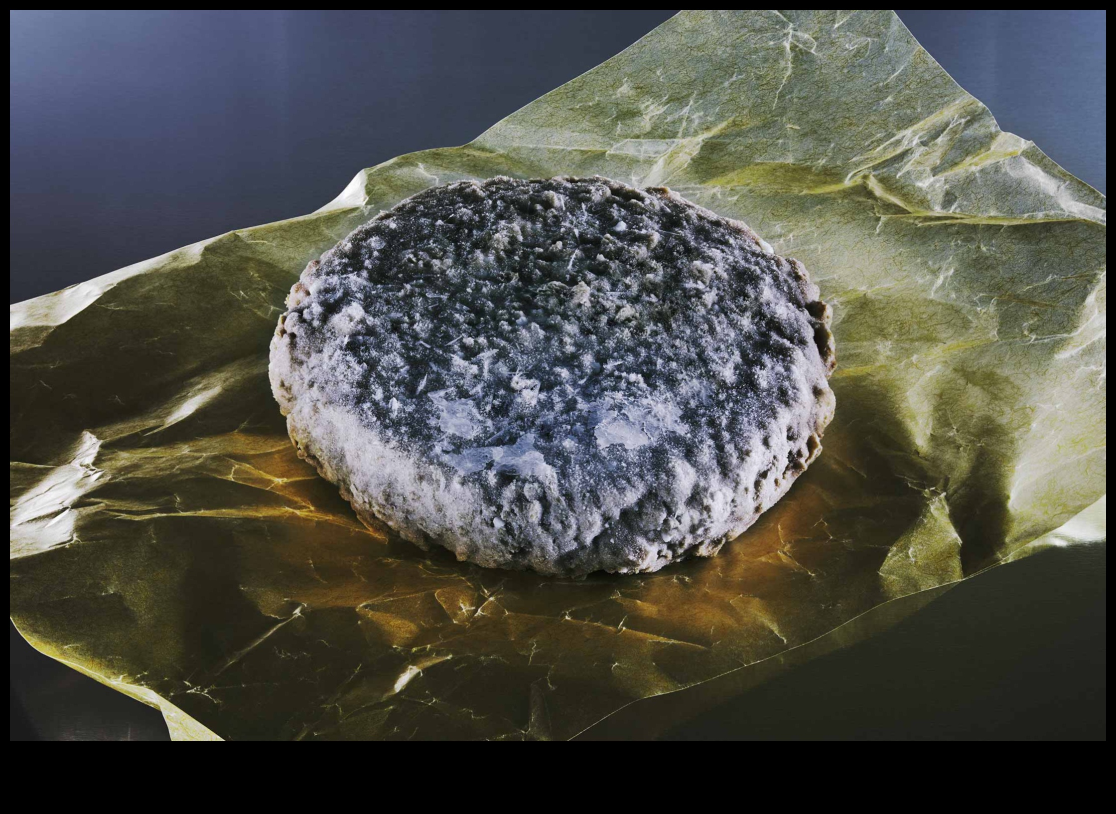 Meatless Magic: Crafting Culinary Joy Beyond Animal Products