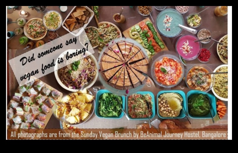 Meatless Magic: Crafting Culinary Joy Beyond Animal Products