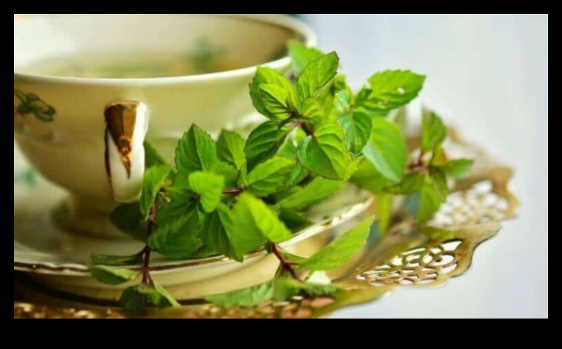 Minty Delights A Guide to the Pleasures of Peppermint Tea Infusions 5 Minty Delights: Exploring the Pleasure of Peppermint Tea Infusions