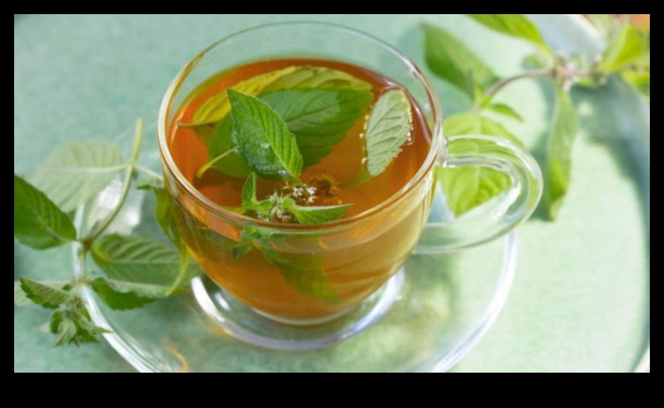 Minty Marvels Unveiling the 10 Health Benefits of Peppermint Tea 4 Minty Marvels: Unveiling the Health Benefits of Peppermint Tea