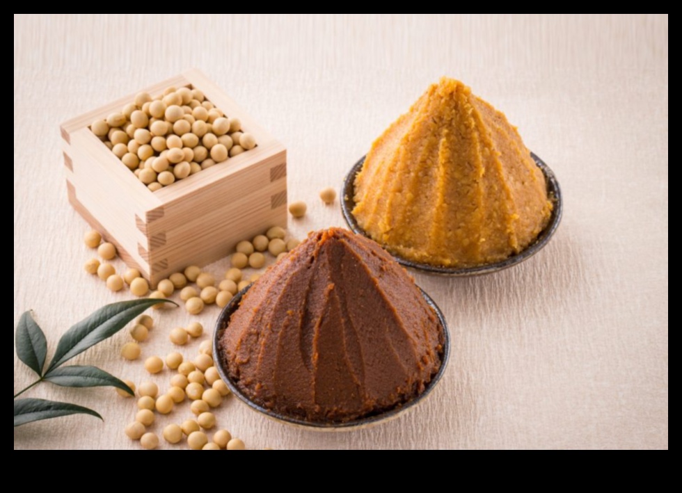 Miso Marvels: Japanese Soybean Magic Unveiled