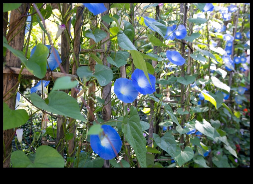 Morning Garden Glory A Nutritious Way to Start Your Day 1