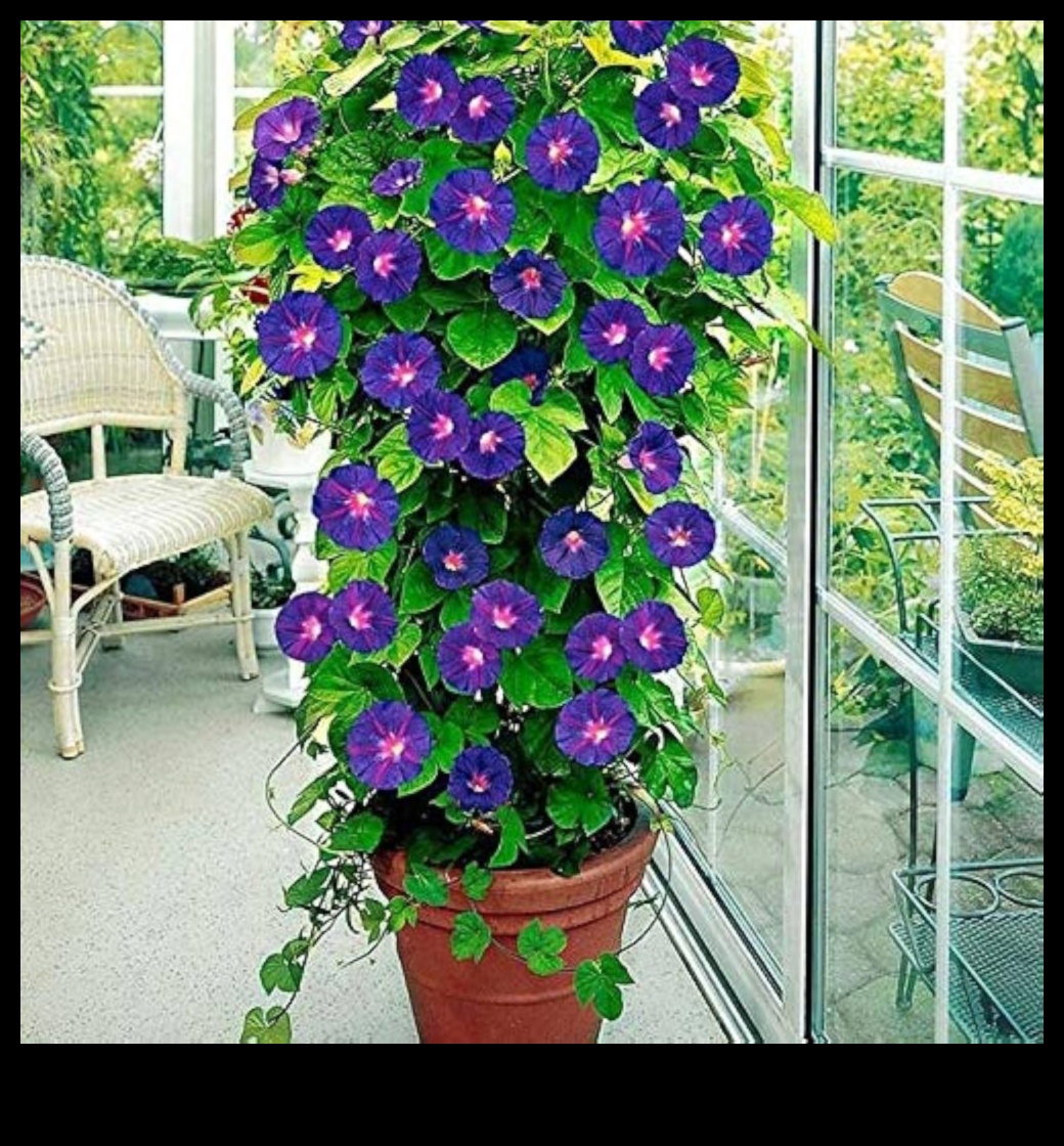 Morning Garden Glory: Nourishing Your Body with Fresh Veggie Juices