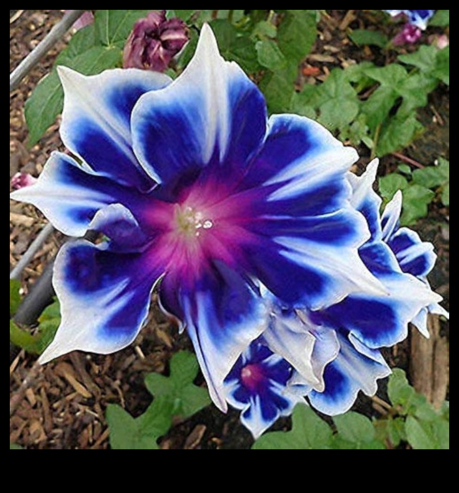 Morning Garden Glory: Nourishing Your Body with Fresh Veggie Juices