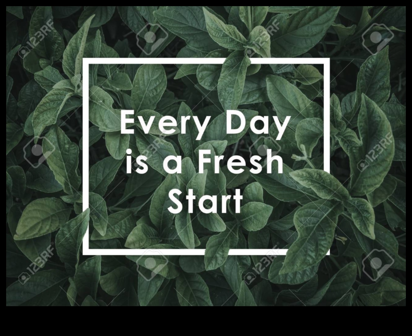 Morning Greens Celebration A Fresh Start to Your Day 2 Morning Greens Celebration: Kickstarting Your Day with Fresh Veggie Juices