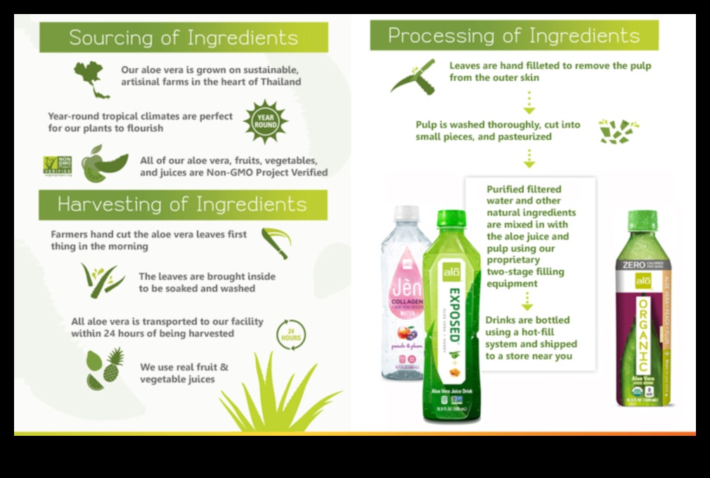 Morning Paradise A Refreshing Start with Aloe Vera Beverages 5 Morning Paradise: Sipping on Fresh and Pure Aloe Vera Beverages
