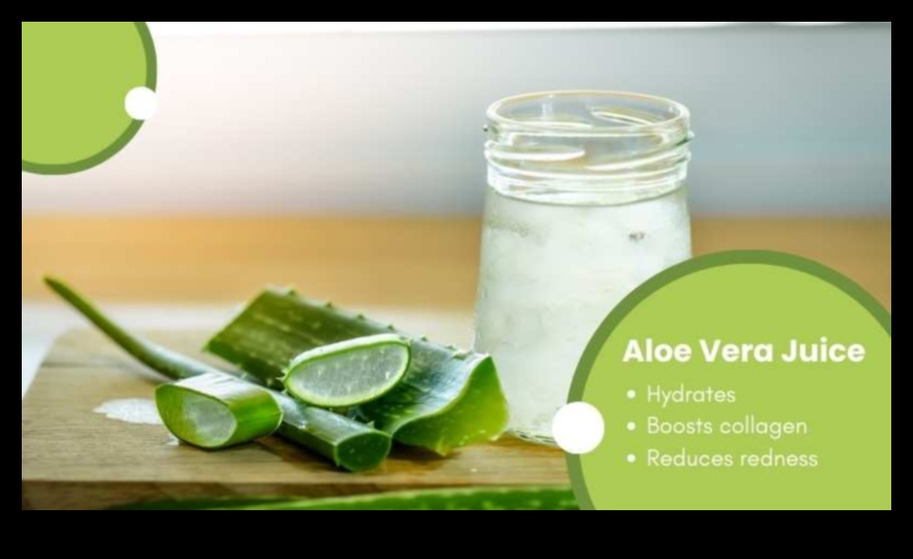 Morning Revive Aloe Drinks for a Hydrating and Energizing Start to Your Day 58 Morning Revive Aloe Drinks for a Hydrating and Energizing Start to Your Day 1