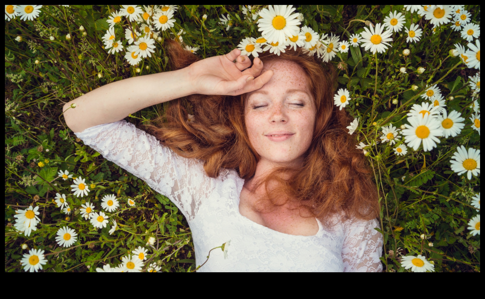 Morning Tranquility: Kickstart Your Day with the Calming Touch of Chamomile