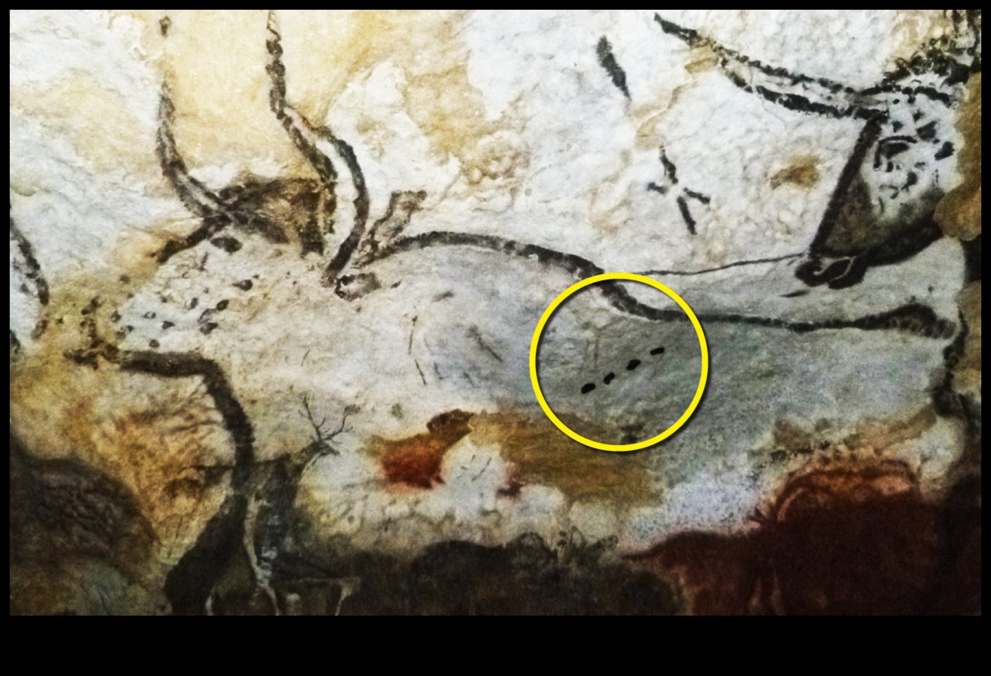 Mystical Markings: Symbolism in Prehistoric Cave Paintings