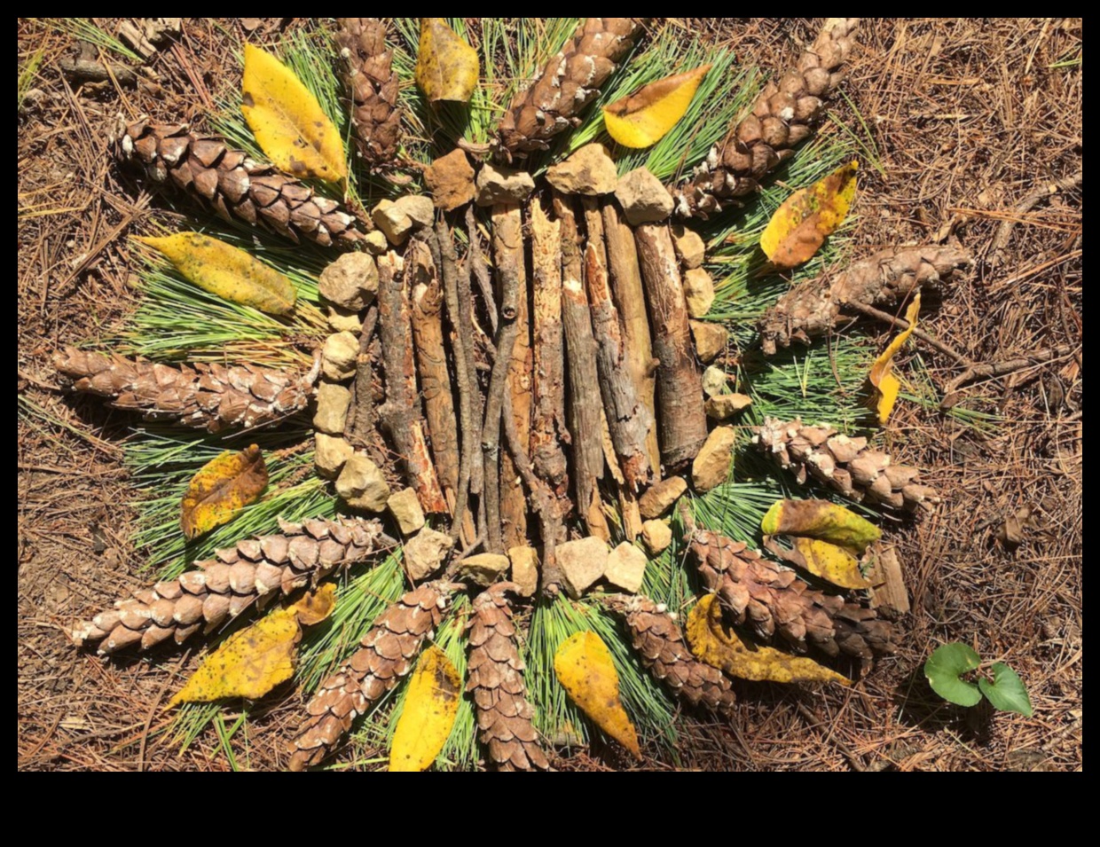 Environmental Art Escapades: Nature and Sculpture Collaborations