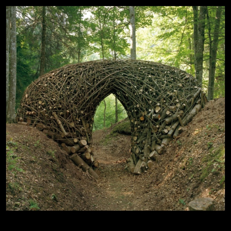Environmental Art Escapades: Nature and Sculpture Collaborations