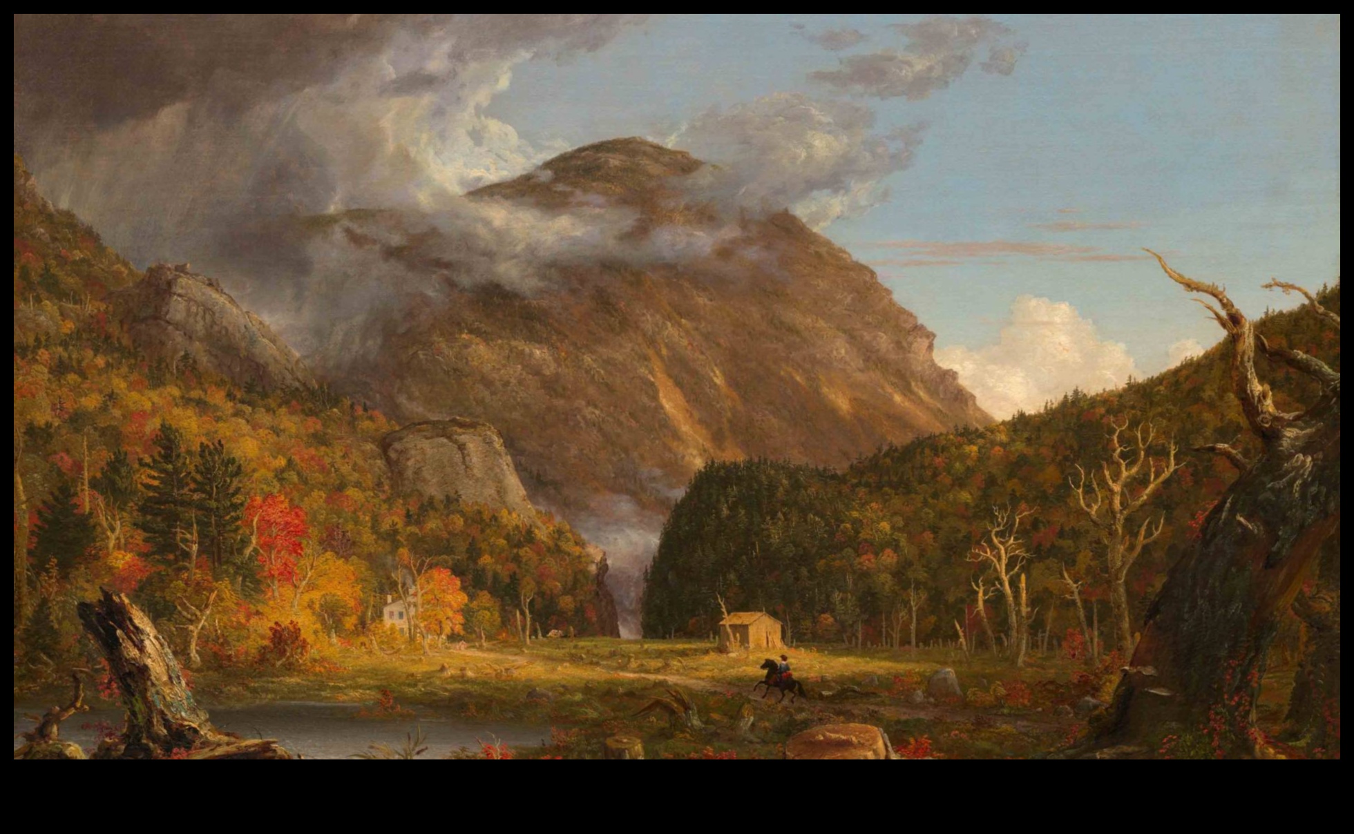 Environmental Artistry: Nature as Medium and Message