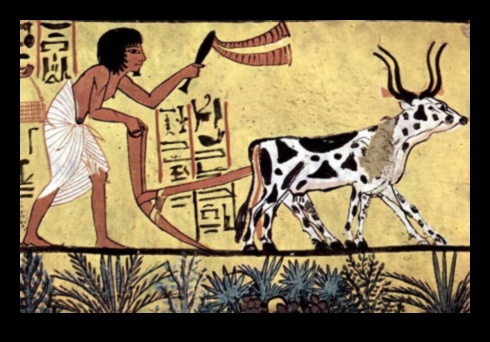 Neolithic Novelties How Ancient Societies' Artistic Advancements Shaped the World 1