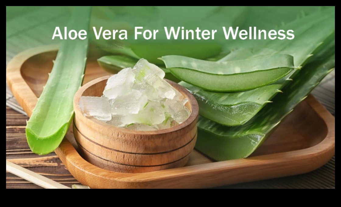 Nourish Your Body with Pure Aloe Vera Sips A Nutrient Boost 1 Nutrient Boost: Nourishing Your Body with Pure Aloe Vera Sips