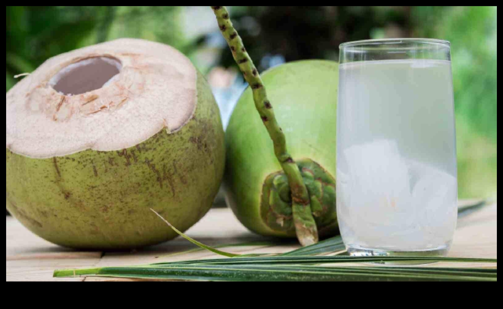 Nutrient Boost: Nourishing Your Body with Pure Coconut Water Sips