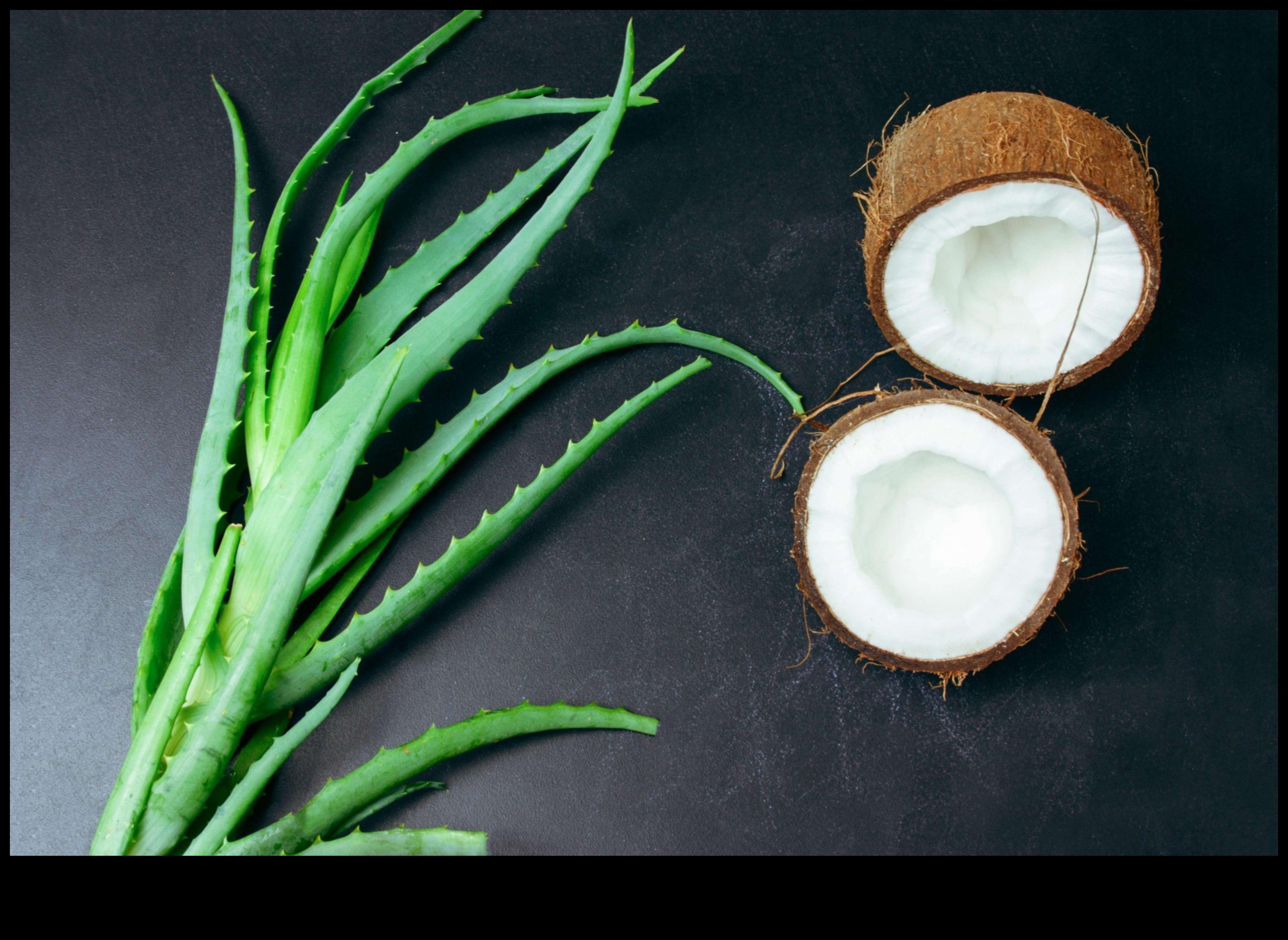 Nutrient-Packed Infusions: Elevating Your Aloe Vera Drink Experience