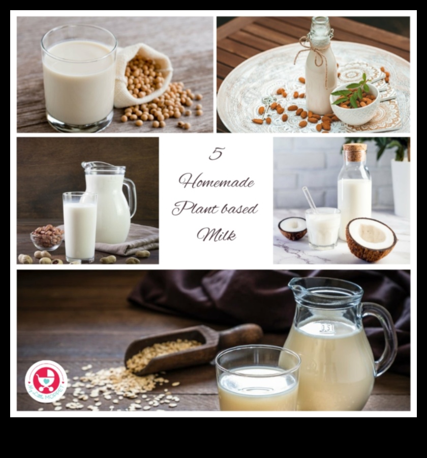 Oat Sensations: A Guide to Crafting Irresistible Plant-Based Elixirs