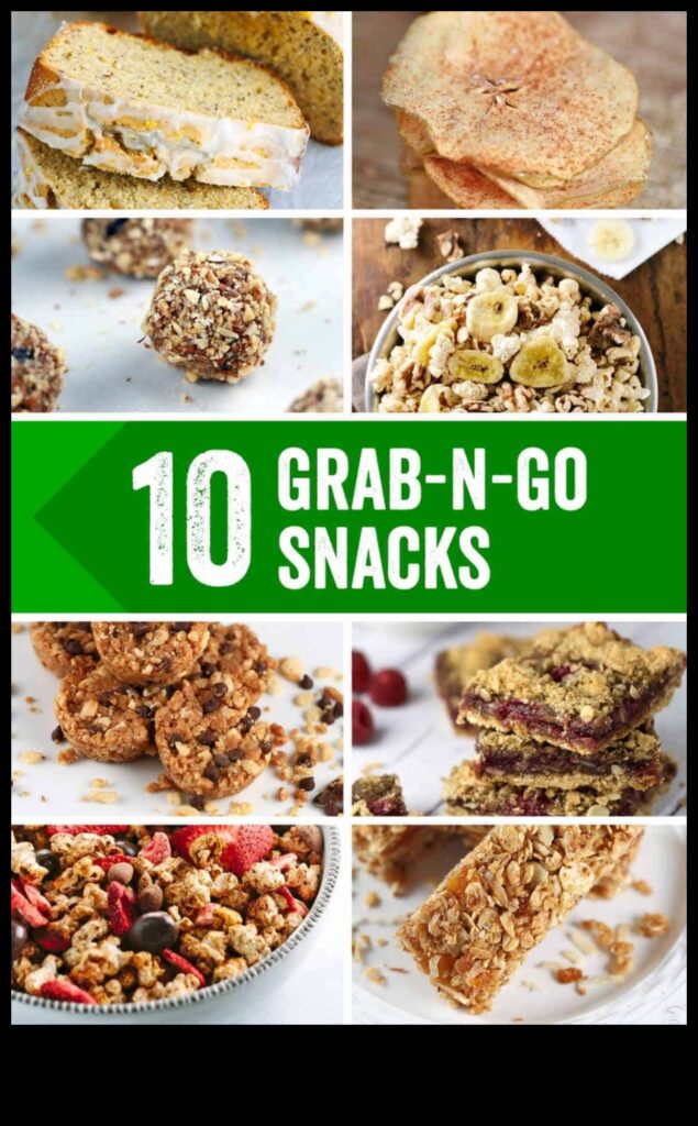 On-the-Go Goodies 50+ Portable Snack Recipes to Love 1