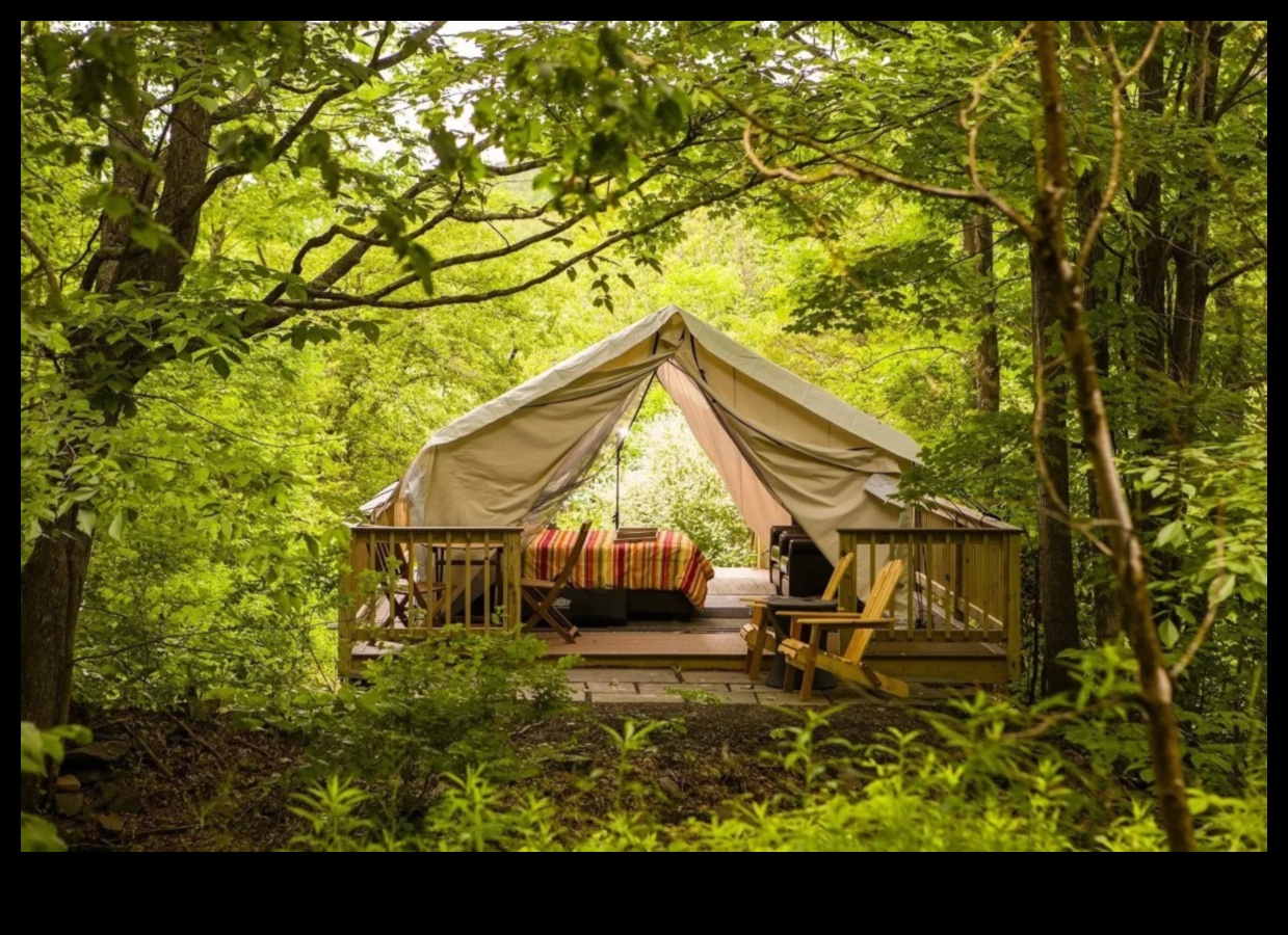 Outdoor Oasis: Adventure Gear for an Exciting Anniversary Exploration