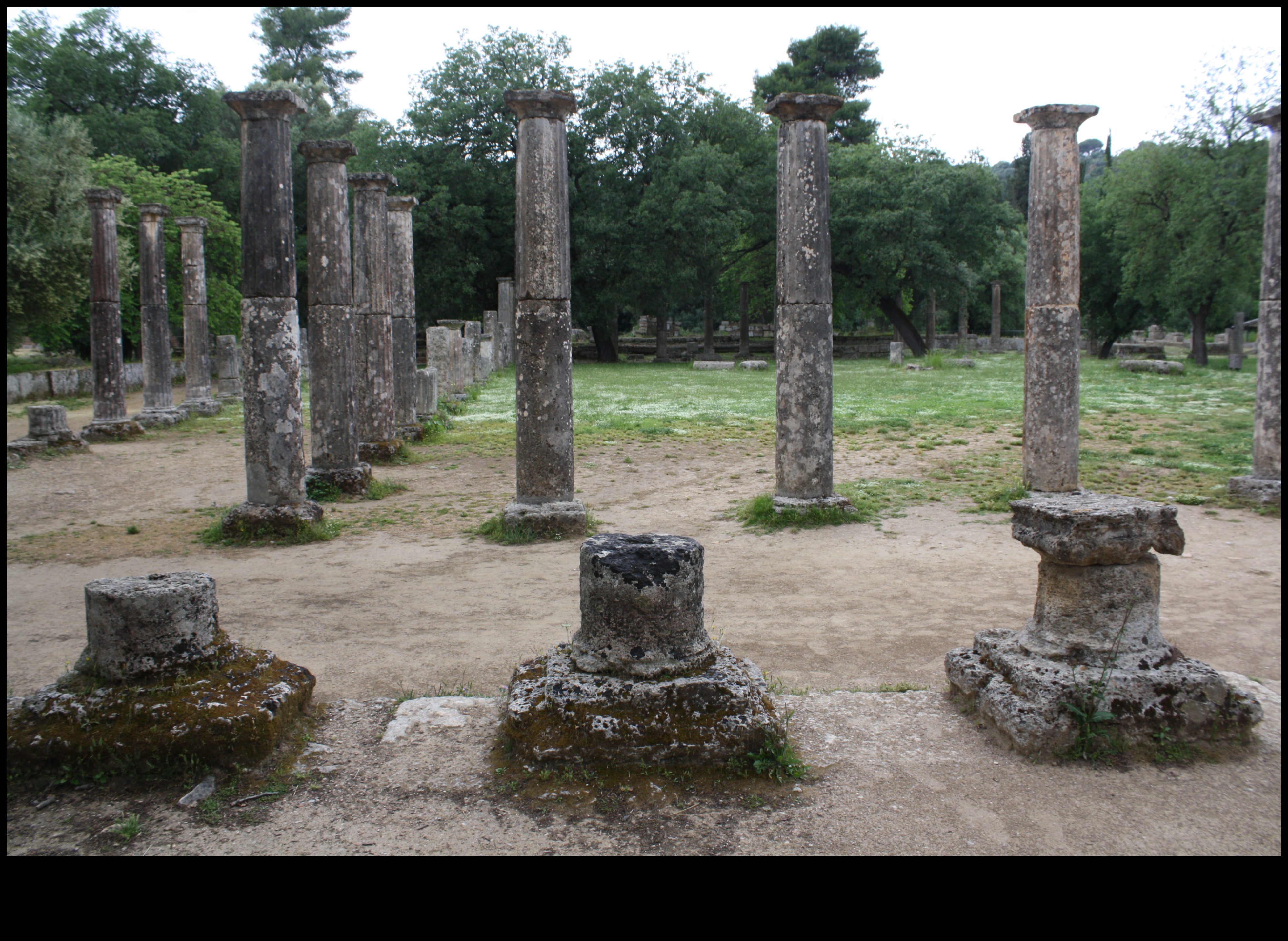 Palaestra Portraits A Visual Journey Through Ancient Greek Athletic Training 3 Palaistra Portraits: Athletic Training in Greek Art
