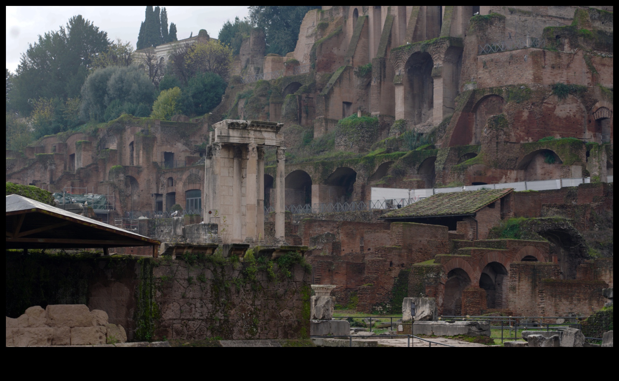 Palatine Palette: The Artistic Spectrum of Rome's Palatine Hill