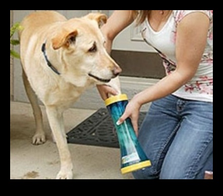 Paws and Play: Gifts for Four-Legged Friends