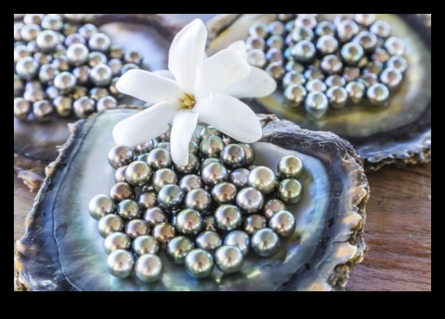 Pearls of the Pacific A Glimpse into Polynesian and Micronesian Artistry 3 Pearls of the Pacific: Polynesian and Micronesian Artistry