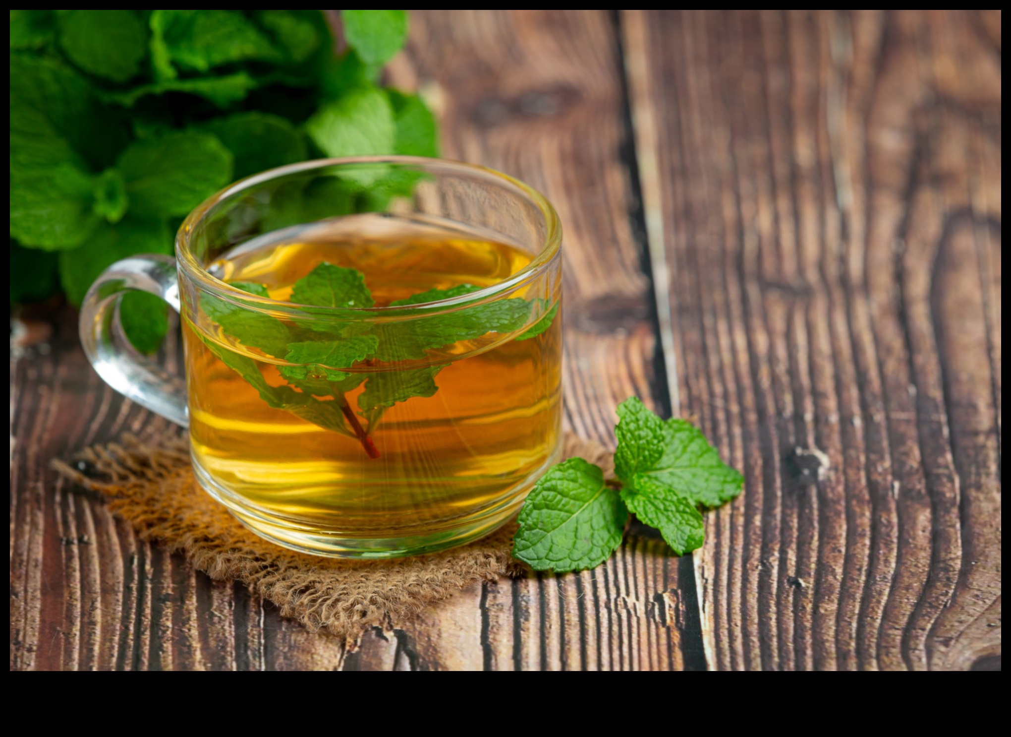 Peppermint Infusions A Journey Through the World of Minty Teas 2 Peppermint Infusions: A Journey Through the World of Minty Teas