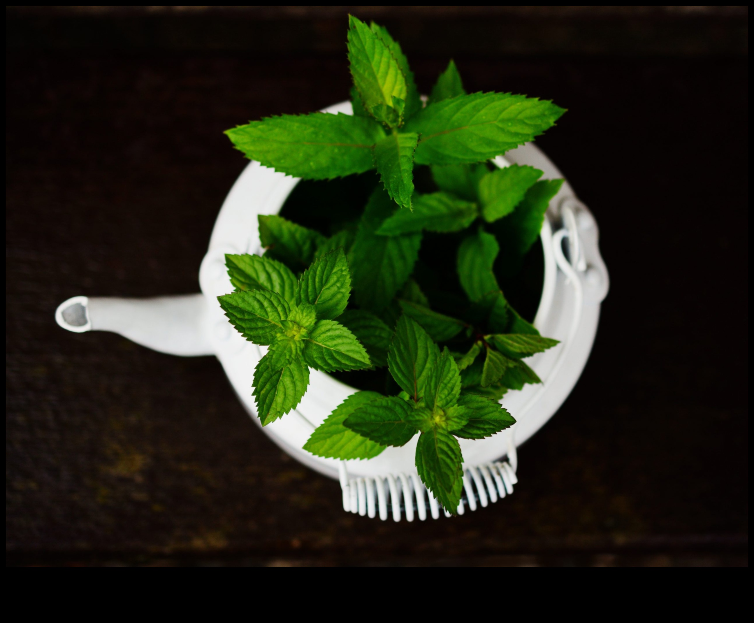 Peppermint Infusions A Journey Through the World of Minty Teas 4 Peppermint Infusions: A Journey Through the World of Minty Teas