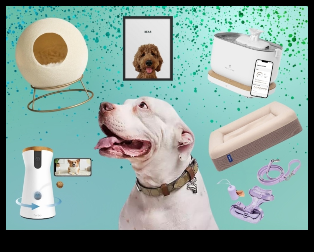 Pet Perks: Gifts for Furry Friends and Their Companions