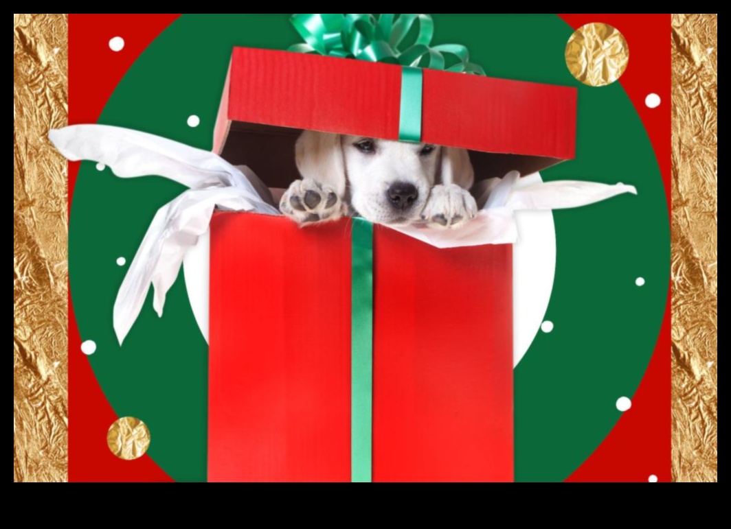 Pet Perks: Gifts for Furry Friends and Their Companions