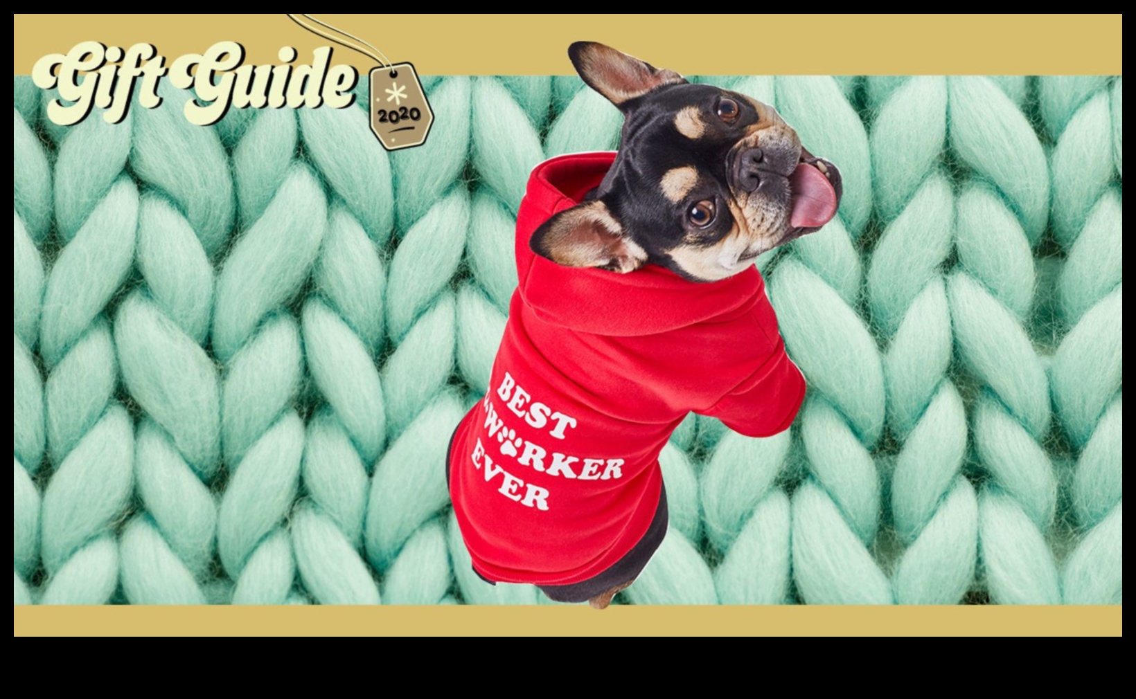 Pet Perks: Gifts for Furry Friends and Their Companions