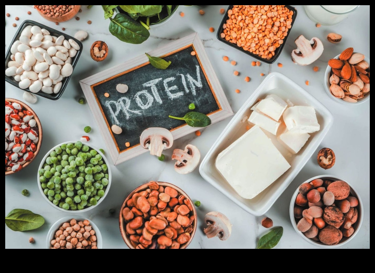 Plant-Based Paradise: Explore the Diversity of Veggie Cuisine