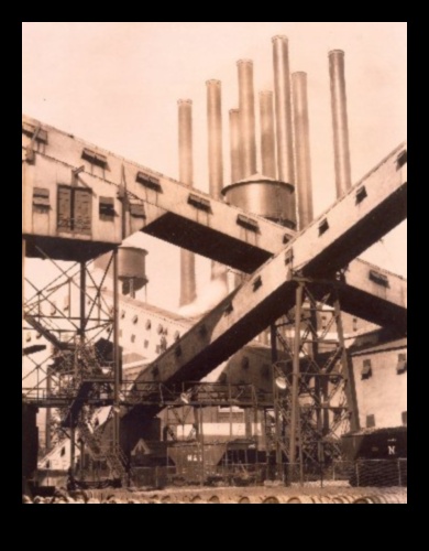 Precisionist Perspectives: Capturing Industrial Modernity