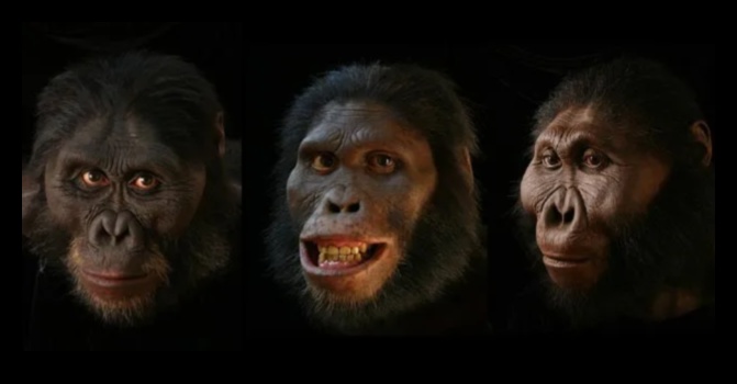 Primitive Portraits Unearthing the Faces of Our Prehistoric Ancestors 1