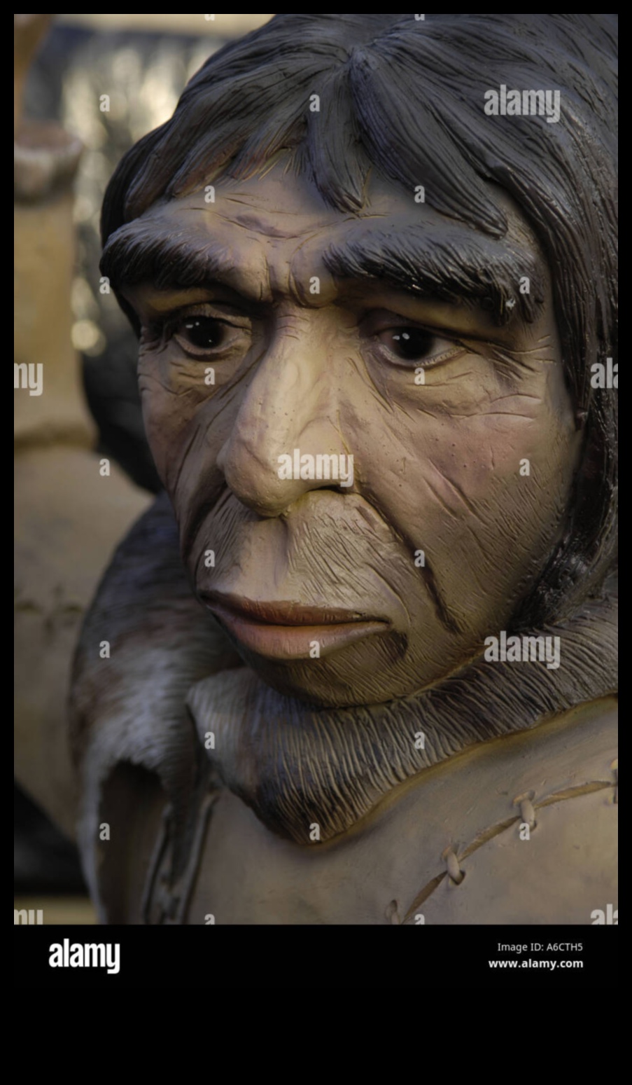 Primitive Portraits: Faces in Prehistoric Figurines