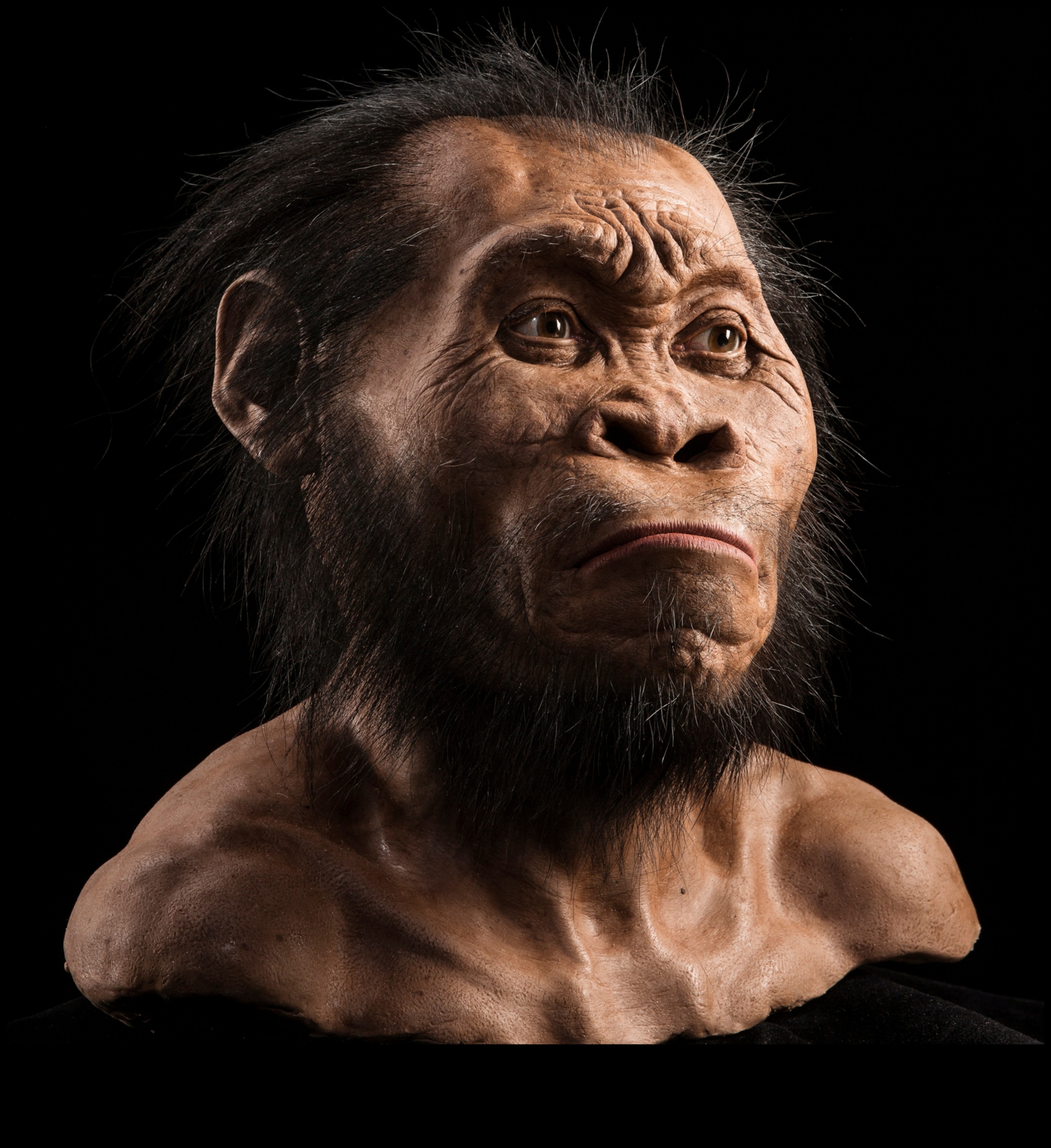 Primitive Portraits: Faces in Prehistoric Figurines