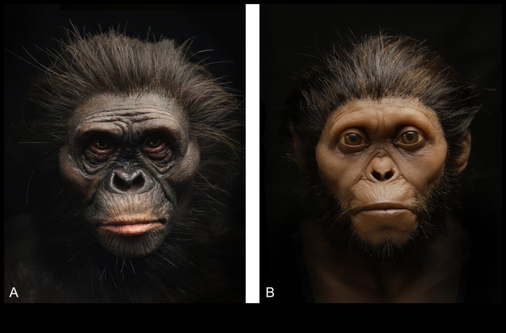 Primitive Portraiture A Glimpse into the Faces of Our Prehistoric Ancestors 1