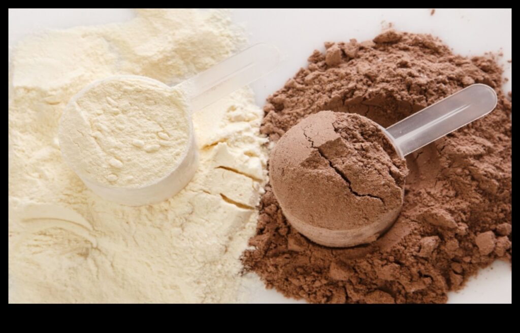 Protein Revolution A New Era of Culinary Excellence for Fitness Enthusiasts 1