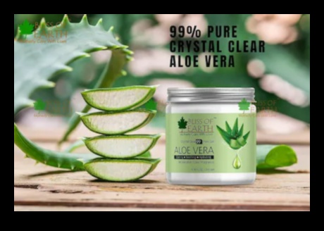 Pure and Revitalizing Aloe Vera Bliss for a Natural Boost 1