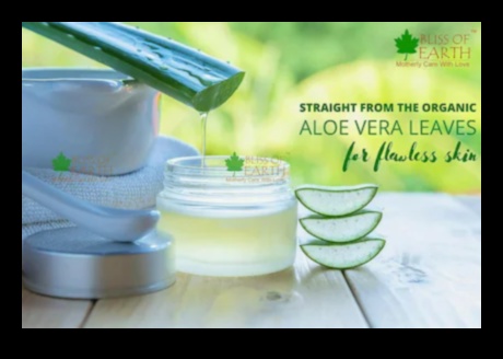 Pure and Revitalizing: Elevating Your Day with Aloe Vera Bliss