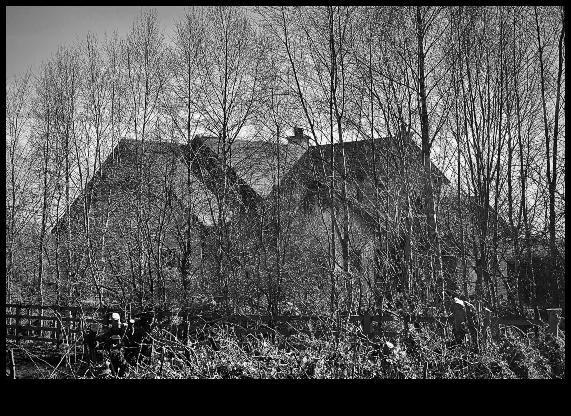 Realism in Black and White: The Timeless Power of Monochrome