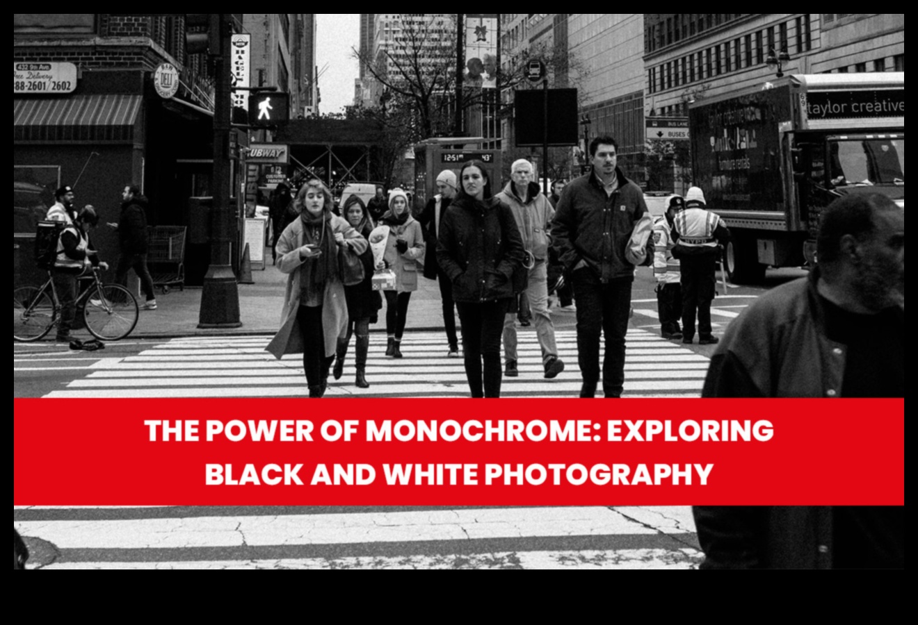 Realism in Black and White: The Timeless Power of Monochrome