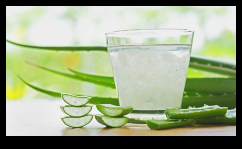 Morning Refresh: Infusing Fresh Aloe Vera Delights into Your Day