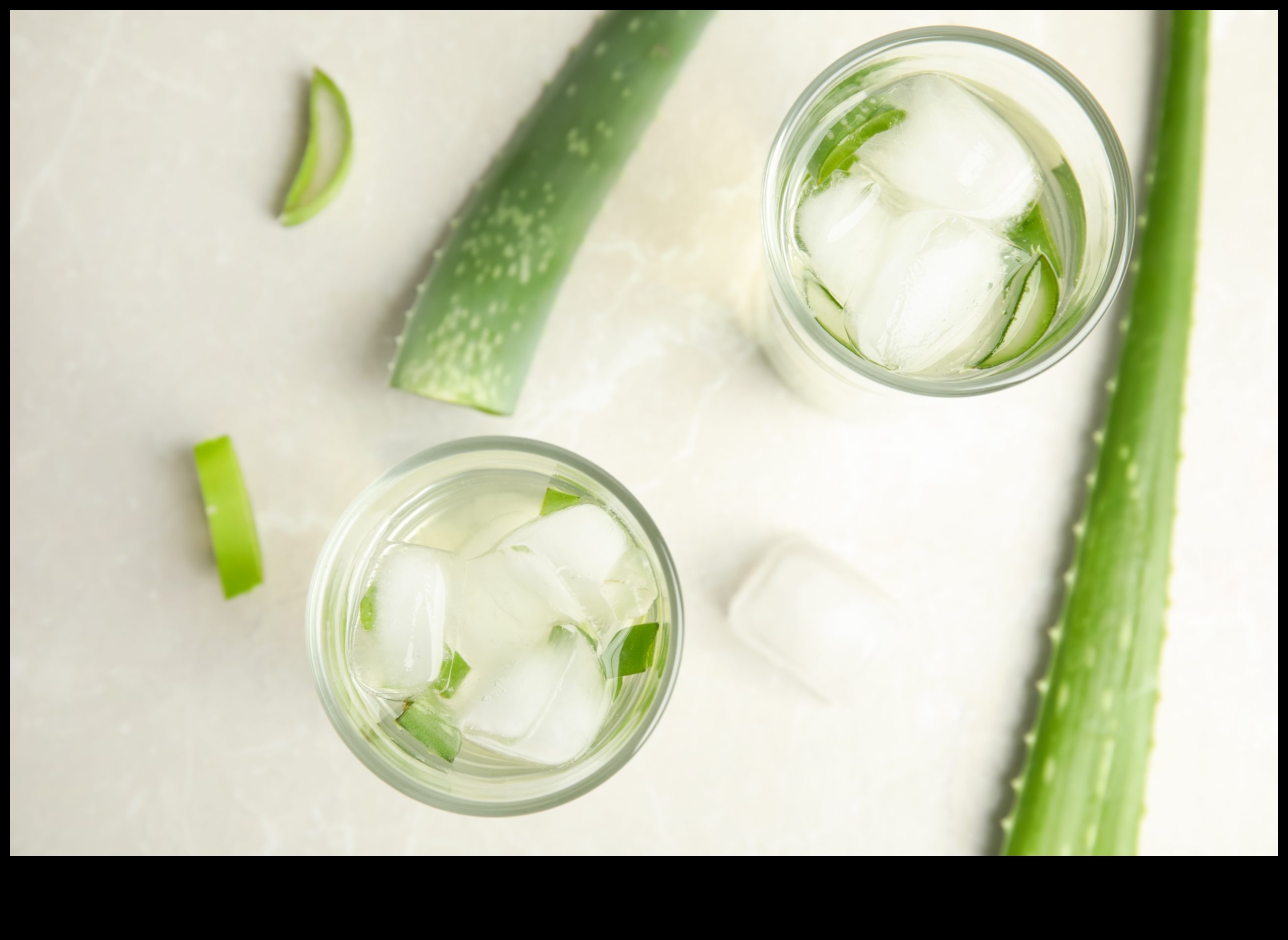 Morning Refresh: Infusing Fresh Aloe Vera Delights into Your Day