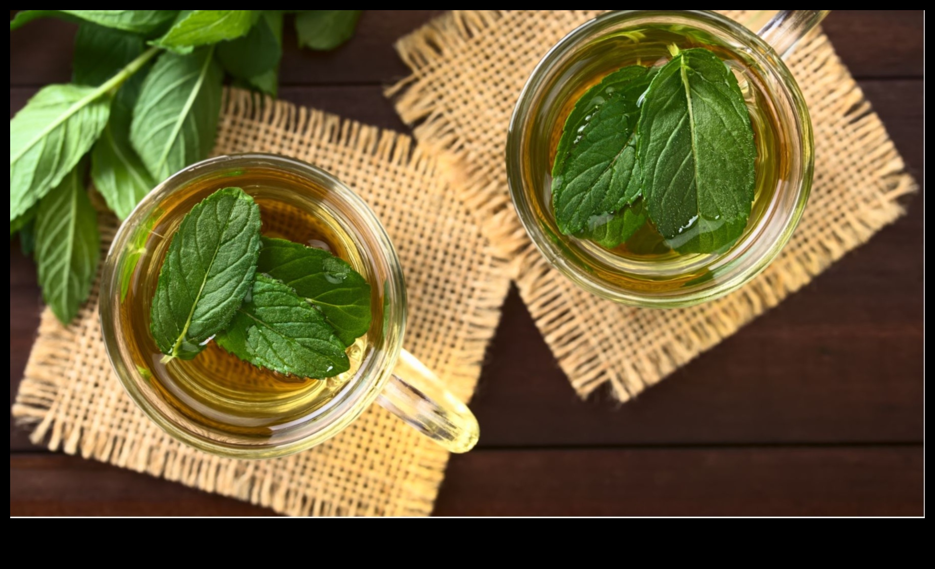Refreshing Mint Infusions Elevate Your Sip with Peppermint Elixirs 4 Refreshing Mint Infusions: Elevate Your Sip with Peppermint Elixirs