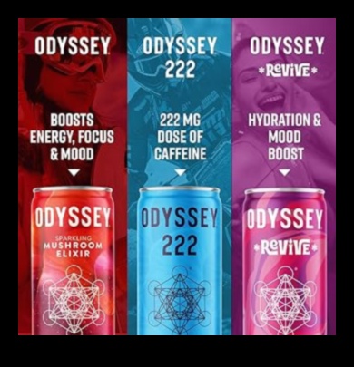 Flavorful Hydration: Elevating Your Wellness with Sugar-Free Elixirs